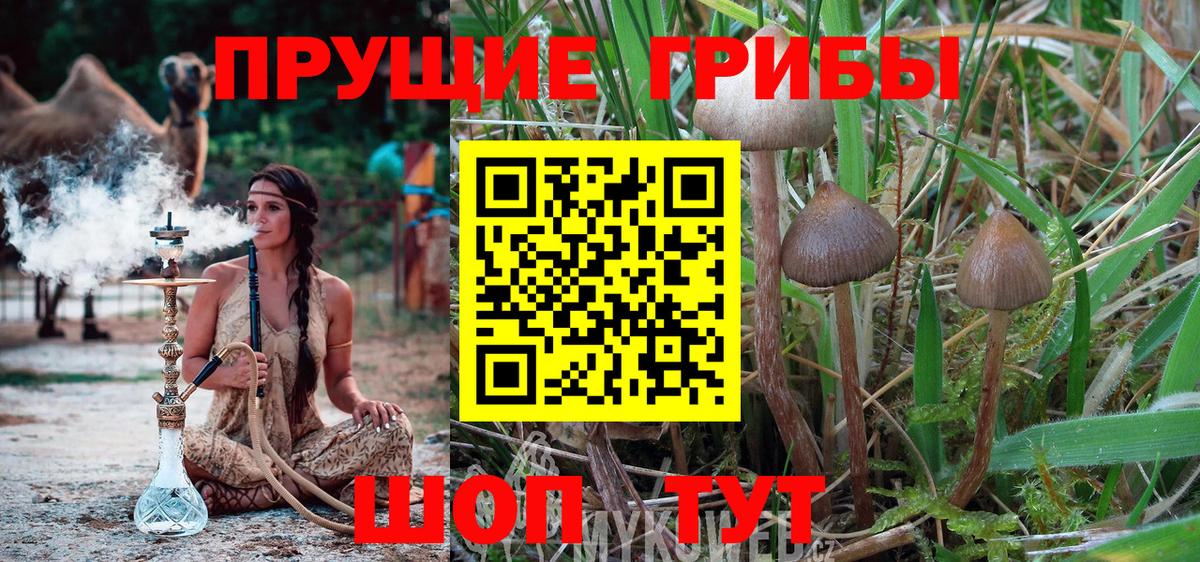 Галлюциногенные грибы мицелий  Вход с VPN  Ртищево 