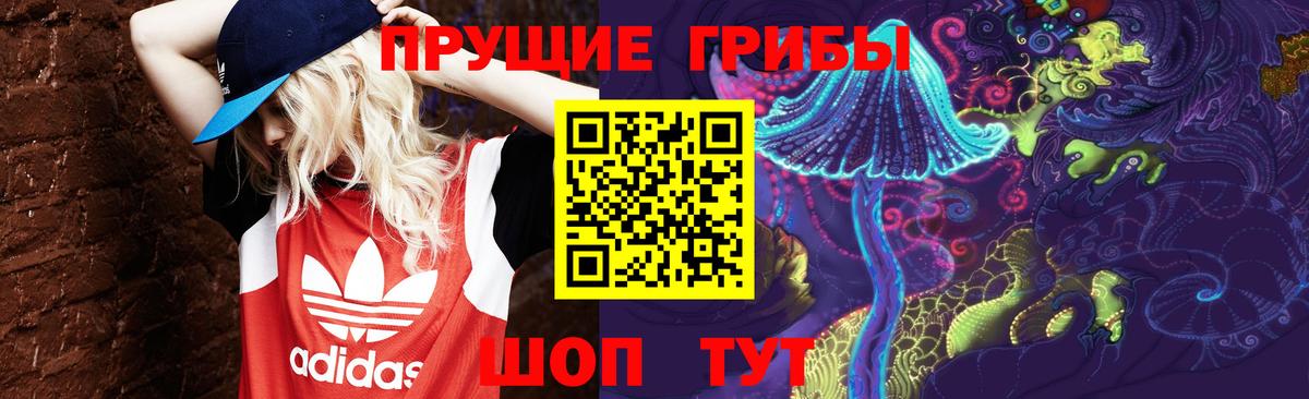 Галлюциногенные грибы GOLDEN TEACHER Ртищево